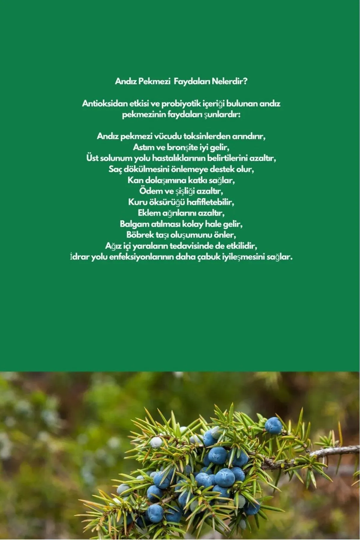 Text