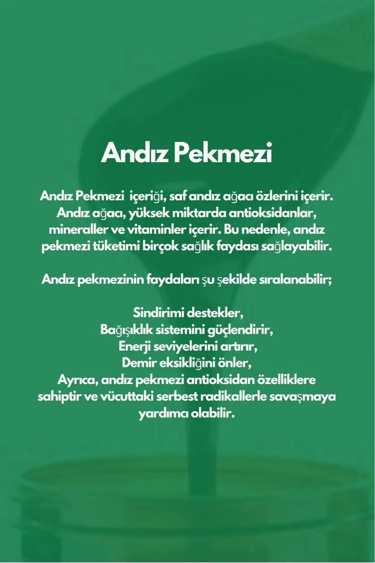 Text